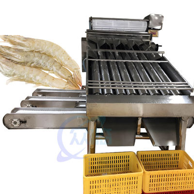 Buen precio Equipo de proceso de los mariscos y del camarón máquina de la selección de la especificación de 304 pescados de acero inoxidables y del camarón en línea