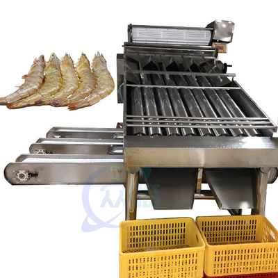 Buen precio Cadena de producción del camarón de la niveladora del camarón del equipo de proceso de los mariscos que se lava niveladora que se lava del camarón en línea