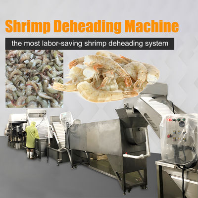 Línea de producción del sistema automático de descabecelamiento de camarones