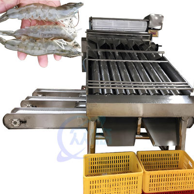 Buen precio Clasificadora del camarón automático de la niveladora del lavado del camarón del equipo de proceso de los mariscos para la peladura del camarón en línea