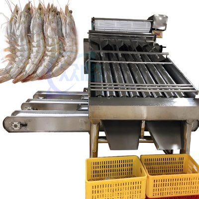 Máquina de limpieza y clasificación de camarones Máquina automática de clasificación de camarones Máquina de clasificación de camarones personalizada según las necesidades