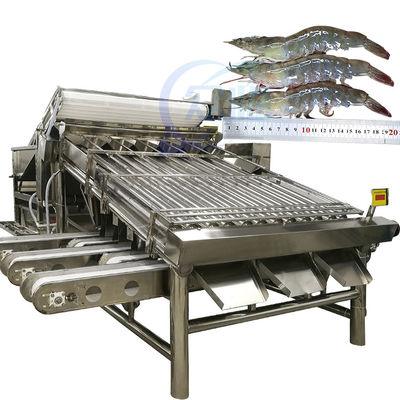 Buen precio Clasificador automático de camarones clasificador de camarones clasificador de camarones lavado de camarones frescos máquina de clasificación de rodillos en línea