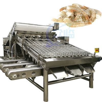 Buen precio Equipo de procesamiento de mariscos Máquina de clasificación de camarones Máquina de clasificación automática de tamaño de camarón en línea