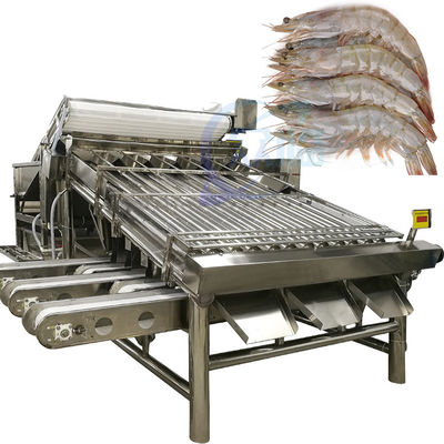 Buen precio Máquina automática de clasificación de camarones para pelar camarones frescos lavado de camarón máquina de clasificación de camarones en línea