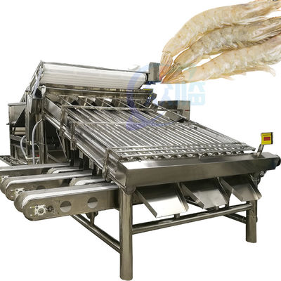 Buen precio Máquina de clasificación y clasificación de langostas Máquina de clasificación de camarones Máquina de clasificación de camarones en línea
