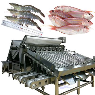 Máquina automática de clasificación de camarones para pelar camarones frescos lavado de camarón máquina de clasificación de camarones