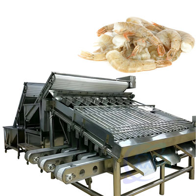 Buen precio Máquina de procesamiento y clasificación de camarones de acero inoxidable Máquina de clasificación de mariscos en línea