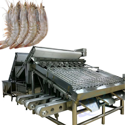 Buen precio Línea de producción de la máquina de limpieza integrada de camarones y peces en línea