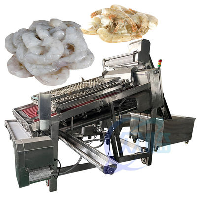Buen precio Línea de producción totalmente automática para pelar camarones El material general es de acero inoxidable 304 Lavadora de camarones en línea