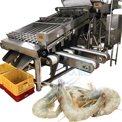 Buen precio Smart 304 máquina de clasificación de camarón de acero inoxidable confiable adecuado para la industria de mariscos máquina de clasificación de camarón en línea