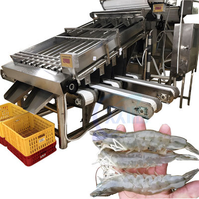 Buen precio Separador de camarones Máquina de clasificación de camarones de alta precisión para el procesamiento de mariscos en línea