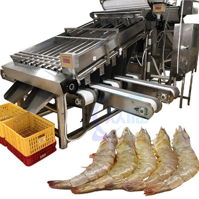 Buen precio Máquina de clasificación de tamaño de la planta de procesamiento de pescado y camarón en línea