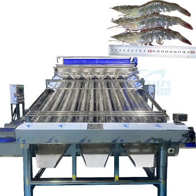 Buen precio Procesamiento de camarón línea de descascarado de camarón totalmente automática Máquina de eliminación y clasificación de impurezas de camarón en línea