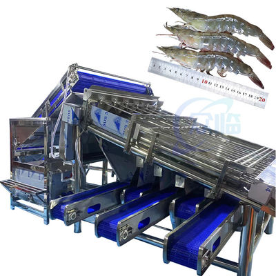 Máquina de clasificación de mariscos, limpieza y clasificación de camarones, molienda automática de caparazones de camarón, descascarillado y desfiladado