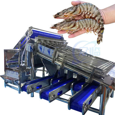 Buen precio Equipo de mariscos Máquina para pelar camarones Máquina de procesamiento de conchas de camarones Roller de acero inoxidable Máquina de clasificación rápida de camarones en línea