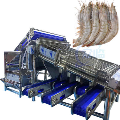Buen precio Máquina de clasificación y clasificación de peces y camarones multifunción totalmente automática Máquina de clasificación rápida de camarones con rodillos personalizados en línea