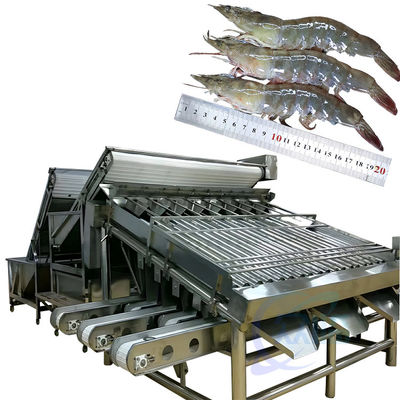 Máquina de procesamiento para clasificar los mariscos y los camarones, máquina para clasificar los camarones y los peces, máquina para clasificar los cangrejos y los cangrejos