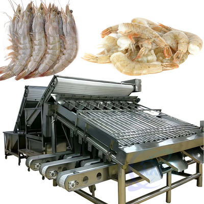 Grader de camarón de acero inoxidable de grado alimentario de 18 rodillos totalmente automático