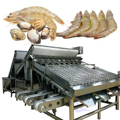 Máquina de clasificación automática de pescado para la línea de procesamiento de alimentos
