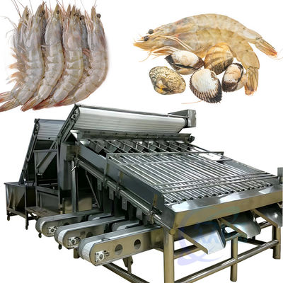 Buen precio Máquina para clasificar el tamaño de los camarones Linea de producción de limpieza y procesamiento de escamas de pescado Linea de clasificación en línea