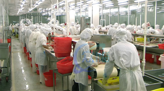 Buen precio Muchos casos de venta caliente de tilapia máquina de pelado de tilapia 0,75KW tilapia de piel alta estable en línea