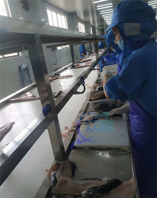 Buen precio Máquina de extirpación de piel de tilapia de acero inoxidable profesional 304 de 0,75 kW en línea