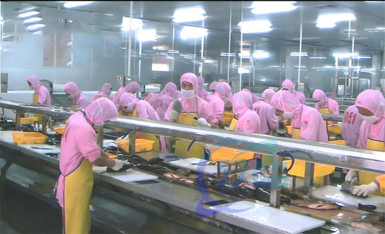 Buen precio Máquina de procesamiento de camarón y pescado Plataforma de flujo de procesamiento para múltiples personas en línea