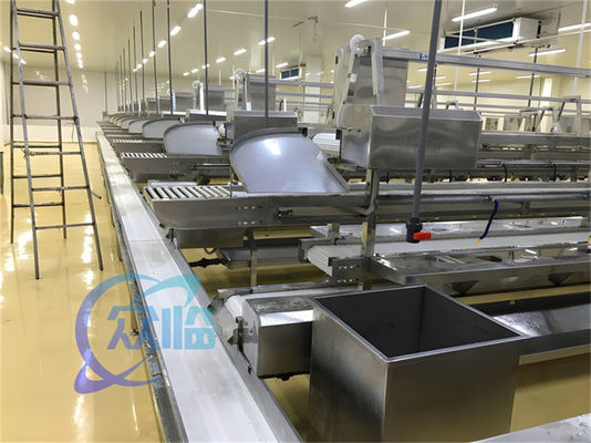 Buen precio 1506kg Línea de producción de mariscos Acero inoxidable Banco de trabajo personalizado Línea de procesamiento de pescado y camarón Cinturón transportador en línea