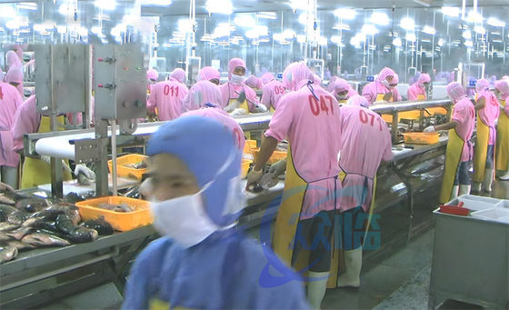 Buen precio 3.07KW Línea de producción de descalcificación de pescado de montaje de camarones de procesamiento de cintas transportadoras en línea