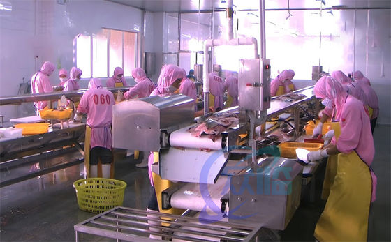 Buen precio Máquina de procesamiento de pescado y camarón Cinturón transportador Fábrica de mariscos Banco de trabajo Línea de procesamiento de camarón en línea