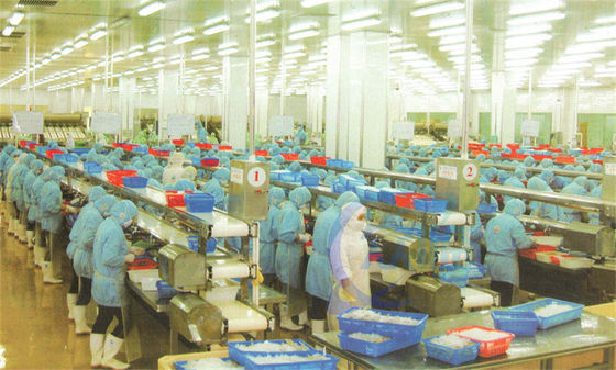 Buen precio Fabricación en acero inoxidable de la línea de montaje de procesamiento de alimentos en línea