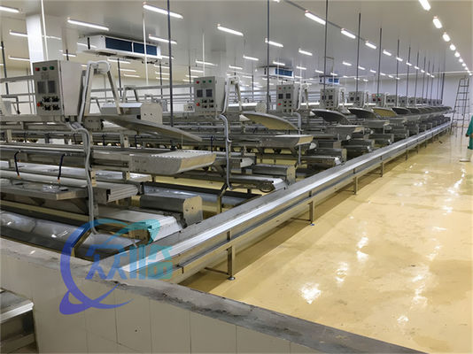 Buen precio 3.10KW Línea transportadora de procesamiento de pescado Línea de producción de descalcificación de pescado en línea
