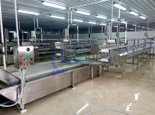 Buen precio 2.22KW SS Lavadora para procesamiento de frutas y hortalizas línea de producción de lechuga de repollo Lavadora de aire a vapor en línea