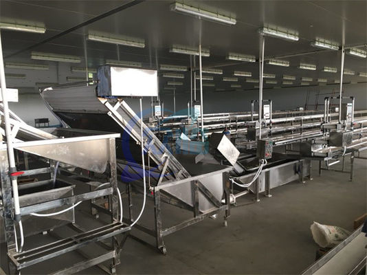 Máquina de limpieza de burbujas totalmente automática de camarón de alta eficiencia Máquina de limpieza de verduras y frutas industrializadas