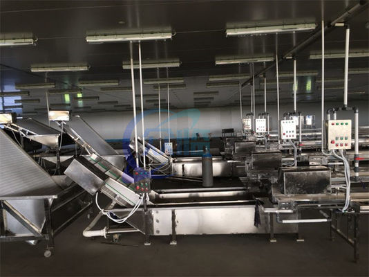 Máquina automática de lavado de burbujas de alta presión para pescado y marisco, máquina limpiadora de camarones, cinta transportadora de descongelación