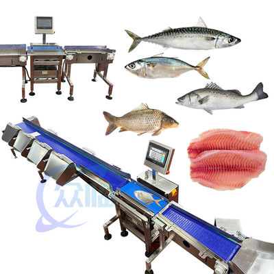 Buen precio Máquina de clasificación de pescado de alta calidad Máquina de tamaño de pescado Potencia de 1.3KW en línea