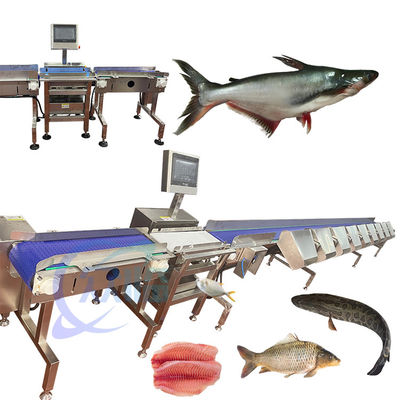 Buen precio Máquina de clasificación de pescado de alta precisión SUS 304 clasificador de pescado duradero clasificador automático de pescado en línea