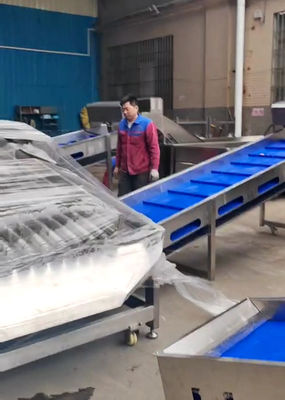 Buen precio Gran clasificador de pescado pelágico de 5 a 10 toneladas por hora para la línea automática de clasificación de pescado en línea