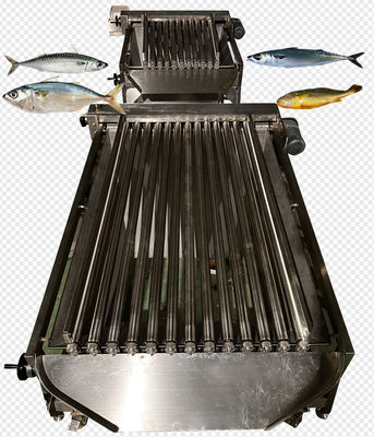 Cuatro estilos Línea automática de clasificación de peces pelágicos y línea de clasificación de peces pequeños