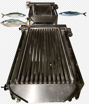 Cuatro estilos línea automática de clasificación de pescado y máquina de remojo de caballa