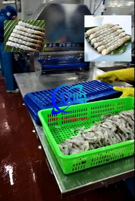 Máquina automática de estiramiento de camarones Tempura, máquina NOBASHI, línea de estiradores de camarones