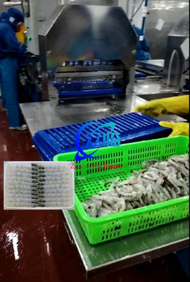 Buen precio 100 piezas de bandeja máquina automática NOBASHI y Tempura camarón máquina de estiramiento en línea