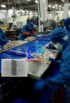 Máquina Tempura Automática de Alta Calidad y Barata con Máquina de Estiramiento de Camarones