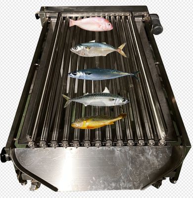 Buen precio Línea de clasificación de peces de control PLC de alta calidad para clasificar peces pequeños con automático en línea