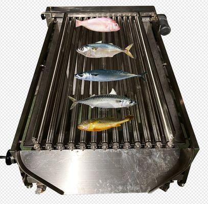 Máquina automática de tamaño de peces de alta velocidad para clasificar muchos tipos de peces del océano