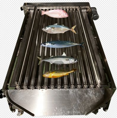Buen precio Capacidad de 5 a 10 toneladas por hora Máquina automática de clasificación de peces, tamaño de peces pequeños y clasificación del océano en línea