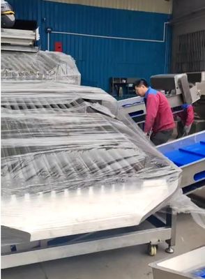 Buen precio Puede clasificador de peces de mar personalizado y equipos de clasificación de pescado para una gran capacidad en línea