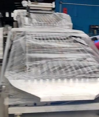 Equipo de clasificación de peces de control PLC personalizado para clasificar peces pequeños con automático