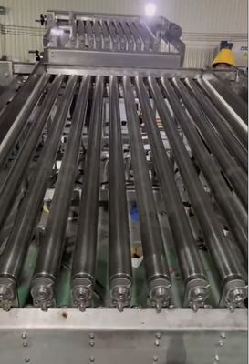 Máquina de clasificación de peces de sardina más estable, para clasificar otros peces pequeños de gran capacidad