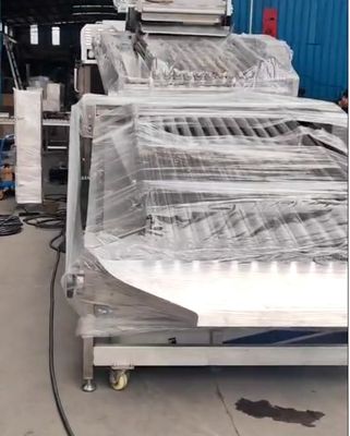 Buen precio Cuatro modelos máquina automática de pescado de tamaño y Soring Croaker amarillo alto estable en línea